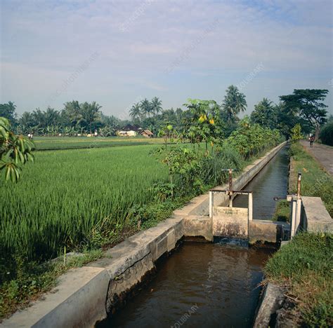 Irrigation channel - Stock Image - E774/0124 - Science Photo Library