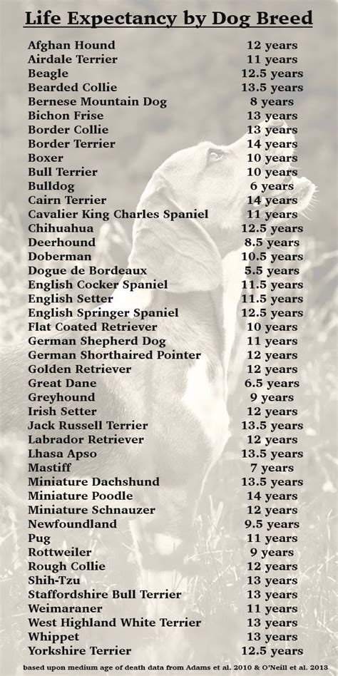 Fascinating dog life expectancy chart from How Long Do Dogs Live Dog Breeds Chart, Dog Breeds ...