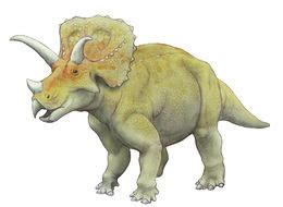 Arrhinoceratops - EcuRed