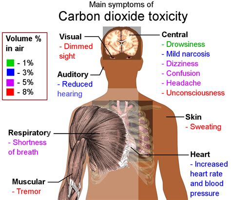 File:Main symptoms of carbon dioxide toxicity.svg - Wikimedia Commons