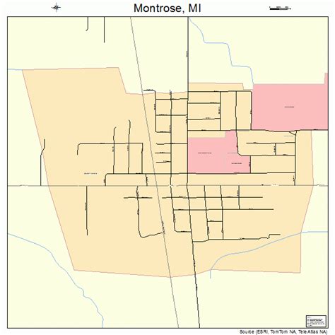 Montrose Michigan Street Map 2655280