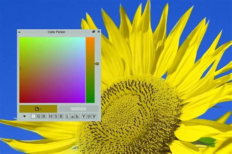 Sunflower - Colorization Tutorial | CODIJY