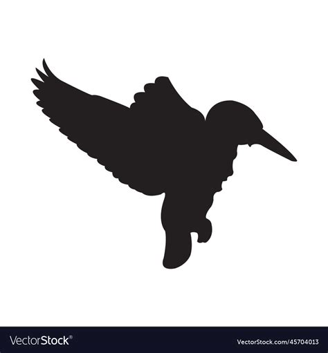 Common kingfisher silhouette Royalty Free Vector Image