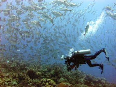 Cebu Hosts Some of the Best Diving Spots in Philippines, Exec Says