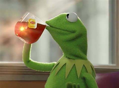 Good Morning America Just Called Kermit the Frog 'Tea Lizard' and Twitter Is Losing It - E ...