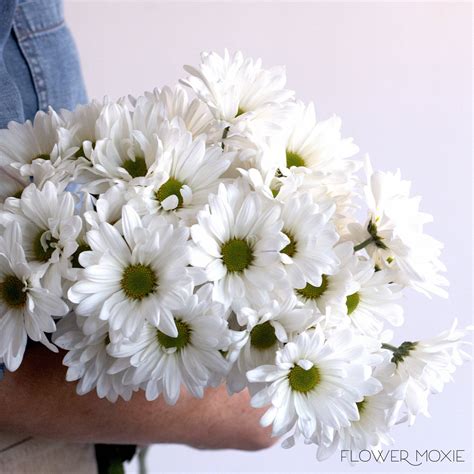 Bulk Flowers Online: Fresh Wholesale Flowers By The Bunch — Flower Moxie