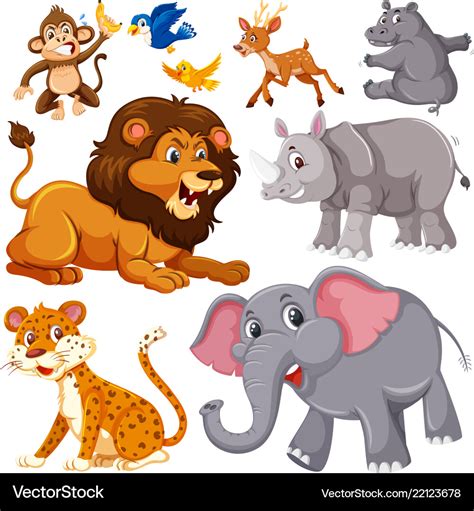 A set of wild animals Royalty Free Vector Image