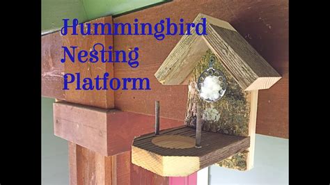 How To Make Hummingbird House : How To Attract Hummingbirds Hummingbird Food Recipe - To make ...