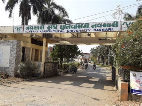 Navsari Agricultural University: Fees, Courses, Admissions 2024 ...