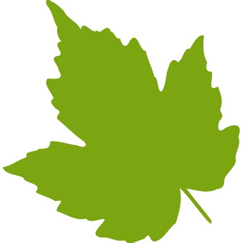 Green maple leaf vector image | Free SVG