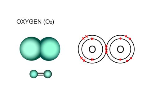 Diatomic molecules have two of the same element