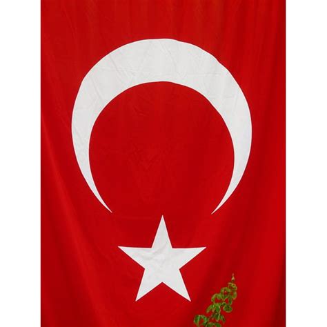 Star Flag White Red Crescent Turkey-24 Inch By 36 Inch Laminated Poster With Bright Colors And ...