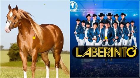 Laberinto Mejores Corridos - Corridos De Laberinto Mix - Grupo Laberinto corridos de caballos ...