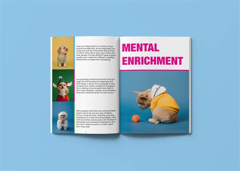 PERFECT PETS MAGAZINE - 2021 :: Behance