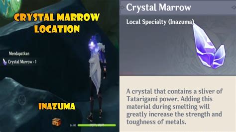 Crystal marrow locations genshin impact