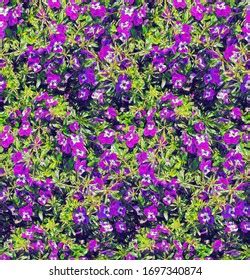 Oil Painting Realistic Spring Pansy Purple Stock Illustration 1697340874 | Shutterstock