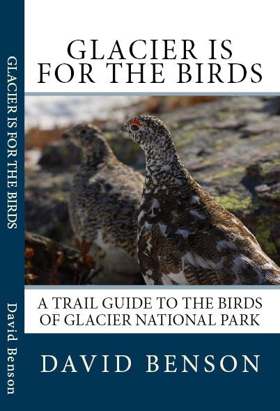 GNP Bird Guide - Birding Glacier National Park