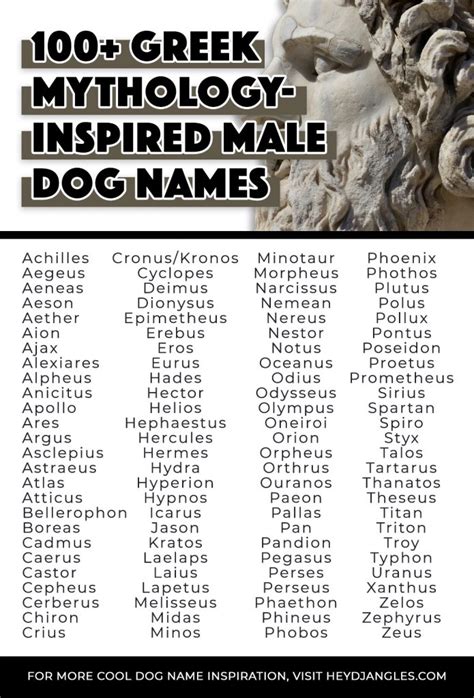 50+ Greek God Names for Male Dogs - Hey, Djangles.