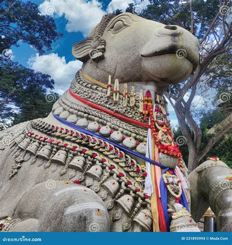 Large Nandi Bull Statue at Chamundi Hills in Mysore Stock Photo - Image of asian, heritage ...