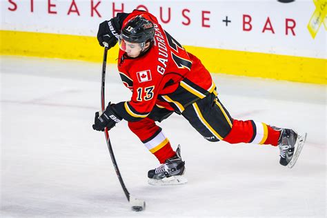 Johnny Gaudreau | Johnny gaudreau, Calgary flames, Johnny