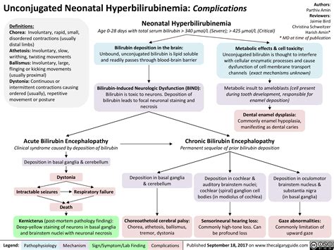 Unconjugated Neonatal Hyperbilirubinemia: Complications | Calgary Guide