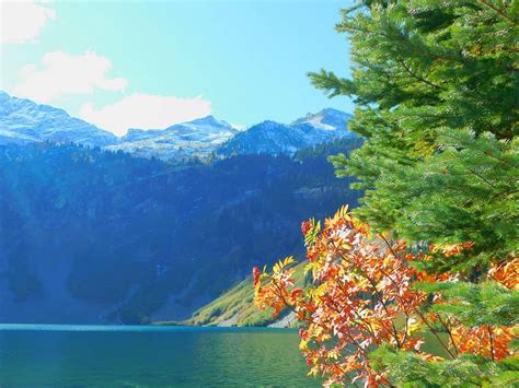 Rainy Lake (Parque Nacional North Cascades) - Lo que se debe saber antes de viajar - Tripadvisor