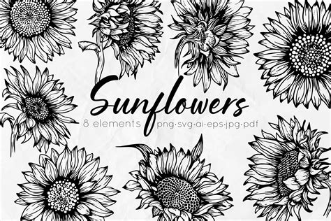 Sunflowers Outline Drawings - Design Cuts