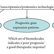 The three main fields for the application of transcriptomics and ...