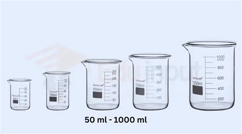 Beaker - Parts, Sizes, Uses, and How to Use It