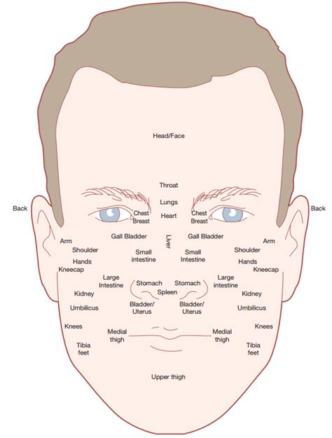 Gua Sha Face Map / Gua Sha Facial Chart