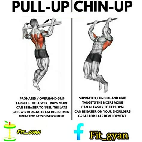 Pull Up Vs Chin Up Muscles Worked