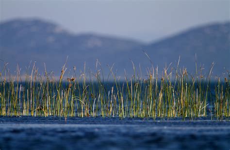 Vrana Lake - Dalmatia’s kingdom of birds - Explore Croatia