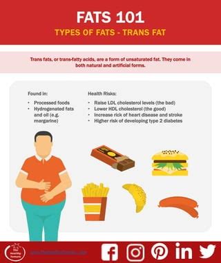 Fats 101 | PDF