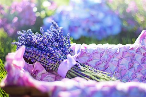Three Lavender Healing Properties That You Should Know Of