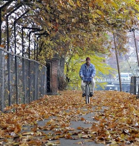 Fall season in Kashmir | punjab | photos | Hindustan Times