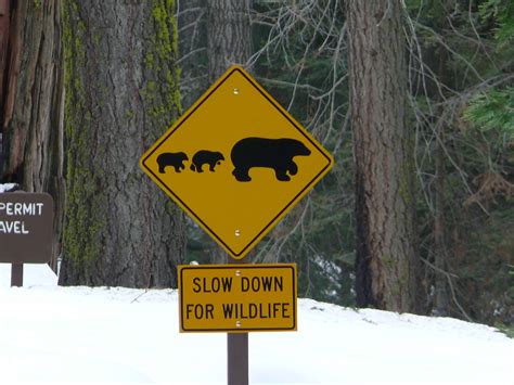 Slow down anyway! | Life humor, Novelty sign, Wildlife