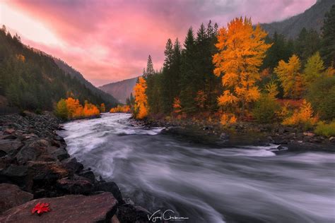 Download Fall Tree Forest Mountain Nature River HD Wallpaper by Vijay ...