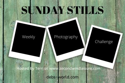 Finding Peace for Sunday Stills – Deb's World