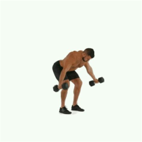 Dumbbell Reverse Fly - Exercise How-to - Workout Trainer by Skimble