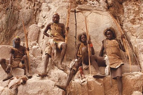 Hadza hunt for food using traditional bows and arrows. Here, they’ve ...