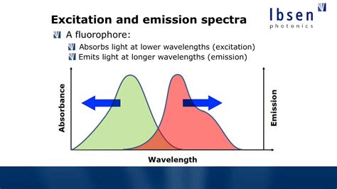 Fluorescence Spectroscopy Tutorial - Basics of Fluorescence - YouTube