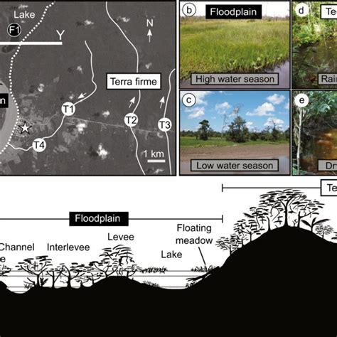 a Map of the study area. Whitewater floodplains of the Ucayali River... | Download Scientific ...