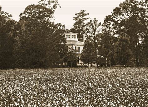 King Cotton and the Old Plantation House | Flickr - Photo Sharing!