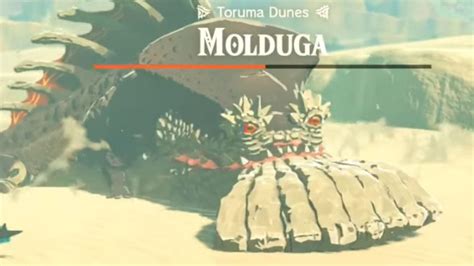 How to beat Molduga in Zelda: Tears of the Kingdom - Dexerto