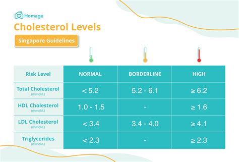 High Cholesterol (Hyperlipidemia): Symptoms & Causes - Homage