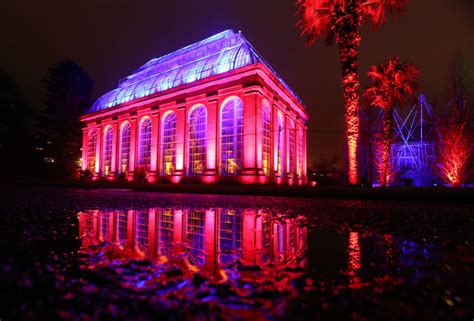 In pictures: Festive light show spectacular at Edinburgh's Royal Botanic Garden - Sunday Post