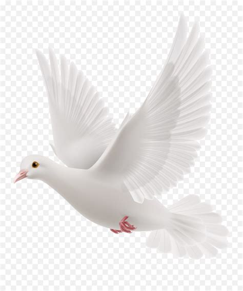 Funeral Doves Transparent Png Clipart - Transparent White Dove Png,Dove ...