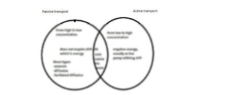 Active Transport Vs Passive Transport Venn Diagram