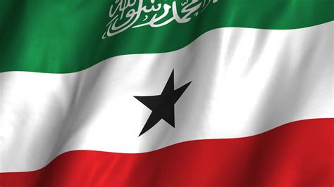 Stock Video: Somaliland Waving Flag ~ #12360379 | Pond5