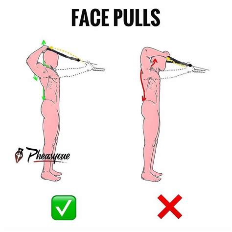 How to do a Face Pull correctly! Form is everything. Face pulls are a great exercise for ...